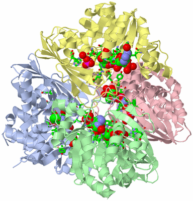 Image Asym./Biol. Unit - sites