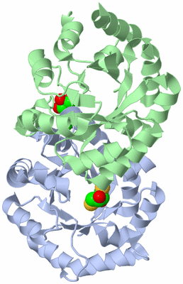 Image Asym./Biol. Unit