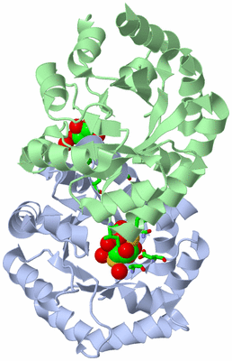 Image Asym./Biol. Unit - sites