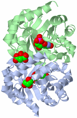 Image Asym./Biol. Unit