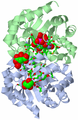 Image Asym./Biol. Unit - sites