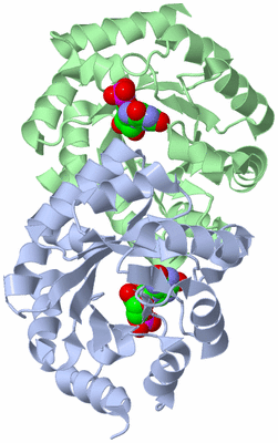 Image Asym./Biol. Unit