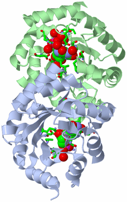 Image Asym./Biol. Unit - sites