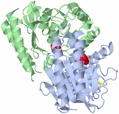 Image Asym./Biol. Unit