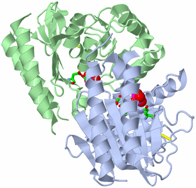 Image Asym./Biol. Unit - sites