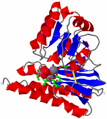 Image Asym. Unit - sites