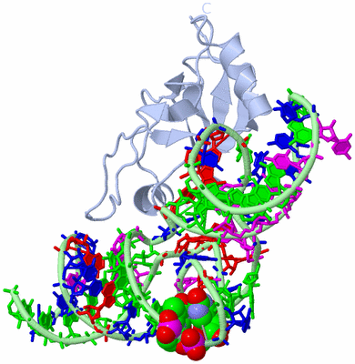 Image Biological Unit 1
