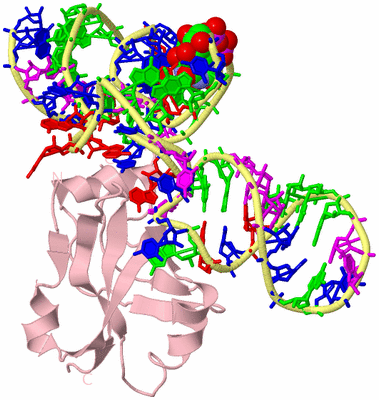 Image Biological Unit 2