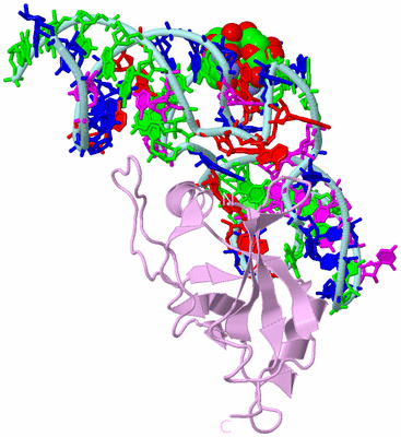 Image Biological Unit 3