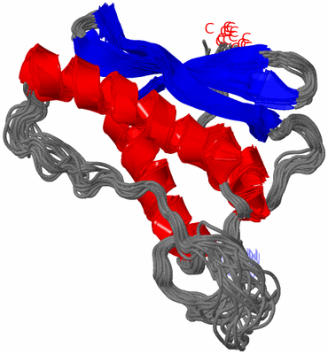 Image NMR Structure - all models