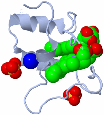 Image Biological Unit 1