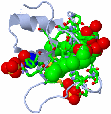 Image Biol. Unit 1 - sites