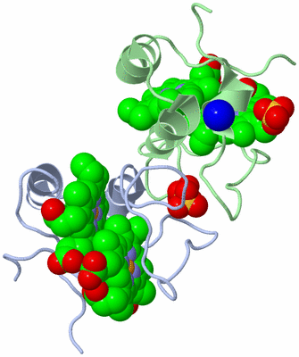 Image Biological Unit 3