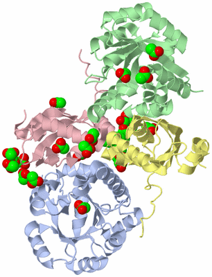 Image Asym./Biol. Unit