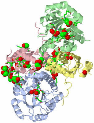 Image Asym./Biol. Unit - sites