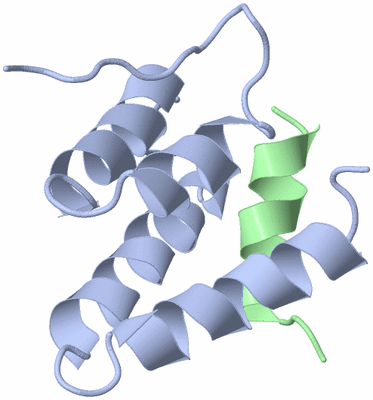 Image NMR Structure - model 1