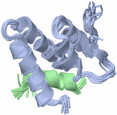 Image NMR Structure - all models