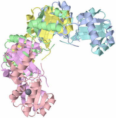 Image Biological Unit 1