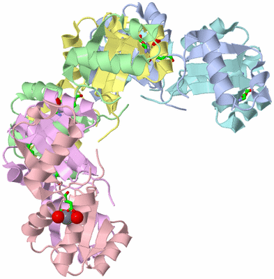 Image Biol. Unit 1 - sites