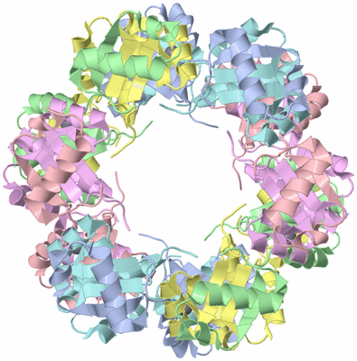 Image Biological Unit 2