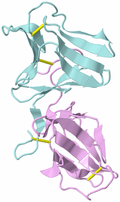 Image Biological Unit 3