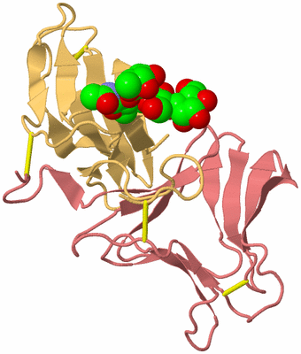 Image Biological Unit 4