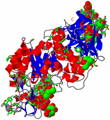 Image Asym./Biol. Unit - sites