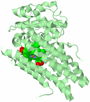 Image Biological Unit 2