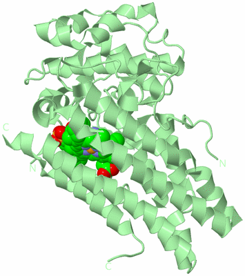 Image Biological Unit 2