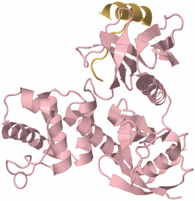 Image Biological Unit 3