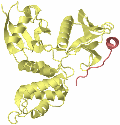 Image Biological Unit 4