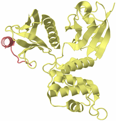 Image Biological Unit 4