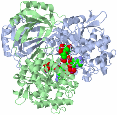 Image Asym./Biol. Unit