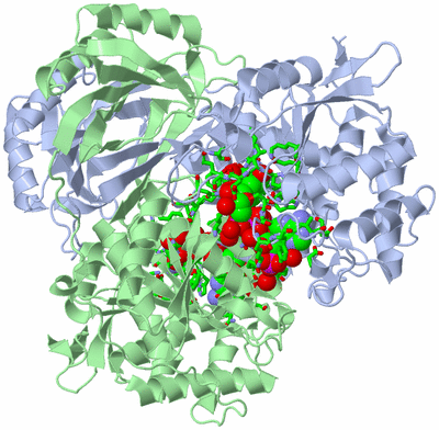 Image Asym./Biol. Unit - sites