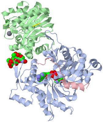 Image Asym./Biol. Unit