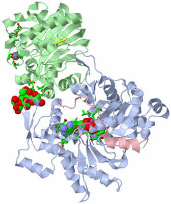 Image Asym./Biol. Unit - sites