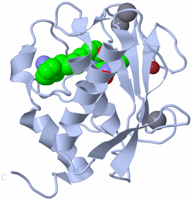 Image Biological Unit 1