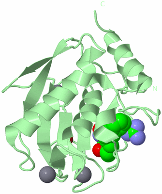 Image Biological Unit 2