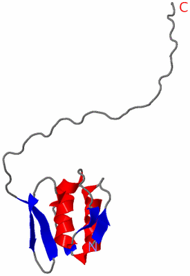 Image NMR Structure - model 1