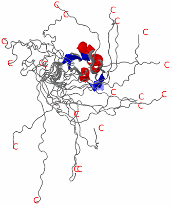 Image NMR Structure - all models