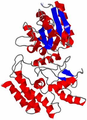 Image NMR Structure - model 1