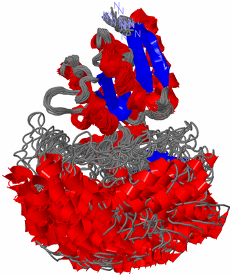 Image NMR Structure - all models