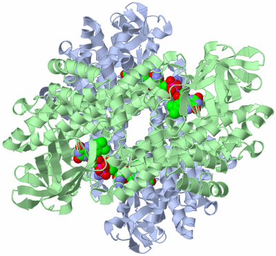 Image Biological Unit 1