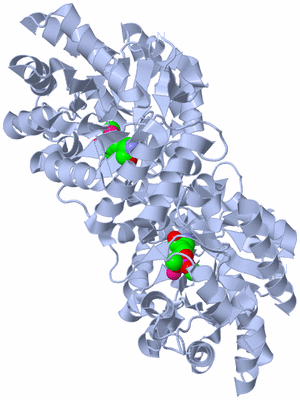 Image Biological Unit 1