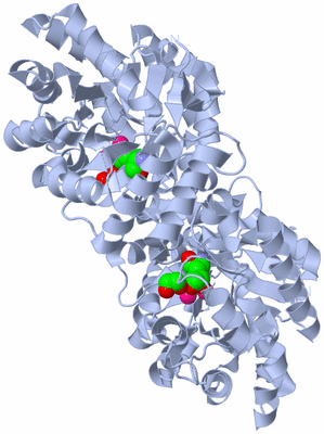 Image Biological Unit 1