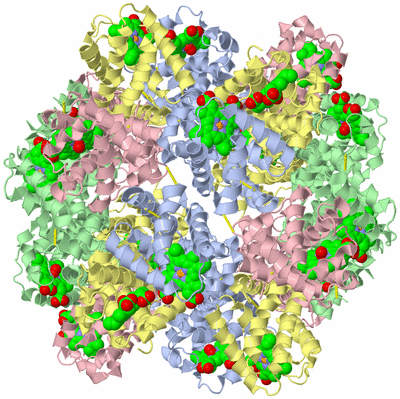 Image Biological Unit 1