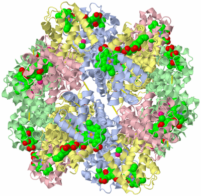 Image Biological Unit 1