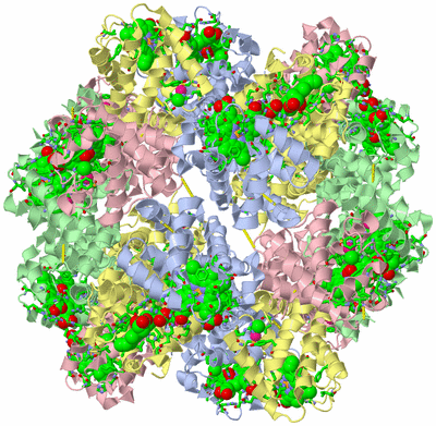 Image Biol. Unit 1 - sites