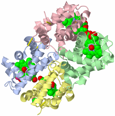 Image Biological Unit 2