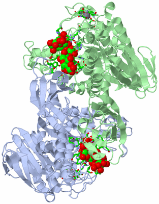 Image Asym./Biol. Unit - sites